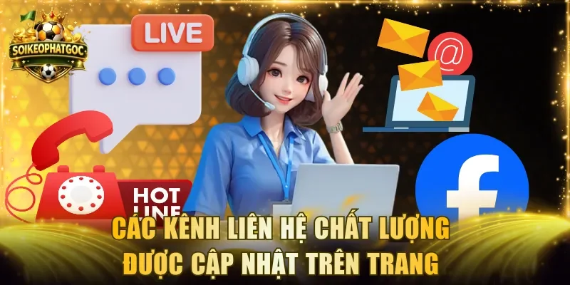 Các kênh liên hệ chất lượng được cập nhật trên trang