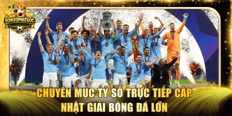Chuyên mục tỷ số trực tiếp cập nhật giải bóng đá lớn