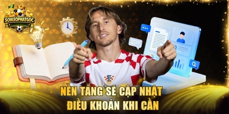 Nền tảng sẽ cập nhật điều khoản khi cần