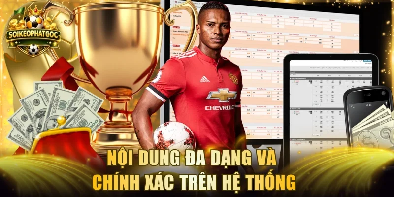 Nội dung đa dạng và chính xác trên hệ thống