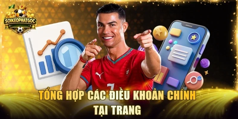 Tổng hợp các điều khoản chính tại trang
